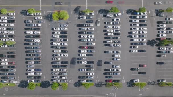 Time lapse aerial fast driving cars parking on shopping mall lot on summer day — Stock Video