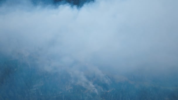 Légi felvétel vastag, szivacsos kéreg sérült hő és lángok a tűz — Stock videók