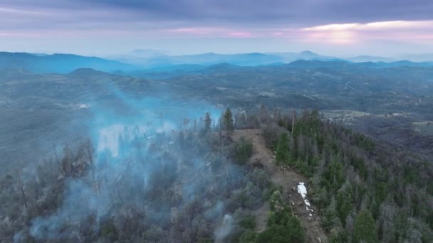 Um sobrevoo acima de grandes chamas que ameaçavam a antiga floresta maciça — Vídeo de Stock