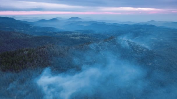 Uitzicht vanuit de lucht op begroeiing en bodem verbrand in een hoog hevige brand — Stockvideo