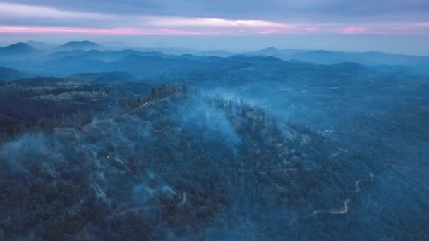 Bosques de pinos en pendientes empinadas por debajo del pintoresco horizonte púrpura amanecer — Vídeos de Stock