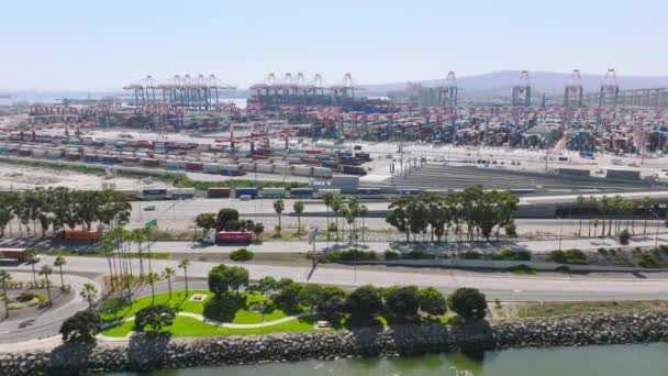 Vista aerea di un enorme porto container con terminal marittimo e carico — Video Stock