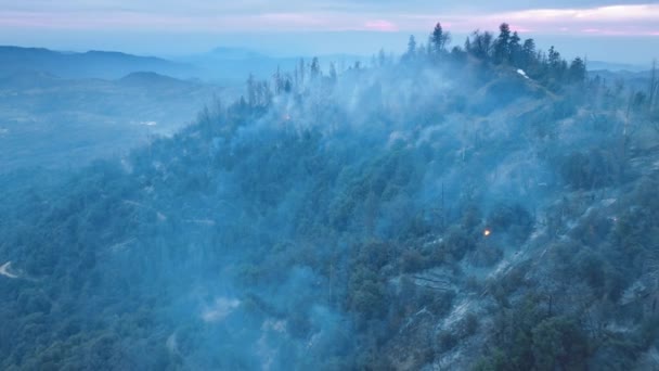 Filmagem aérea de área de fogo de alta gravidade alimentada por cascas e galhos secos — Vídeo de Stock