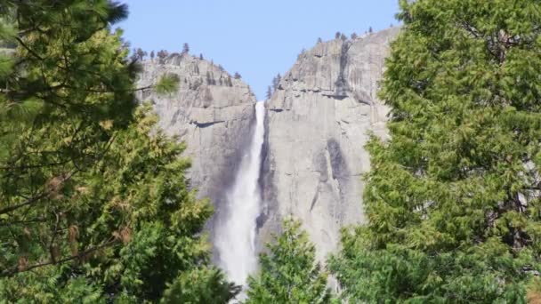 Waterfall in spruce forest, RED camera Beautiful waterfall in green forest USA — стоковое видео