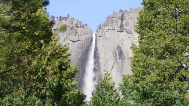 Hermosa cascada en el bosque verde, vista al nivel del suelo, bosque de pino cinematográfico 6K — Vídeos de Stock