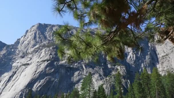 Yosemite vallei bergen op de achtergrond van hoge sequoia bos in Sierra Nevada — Stockvideo