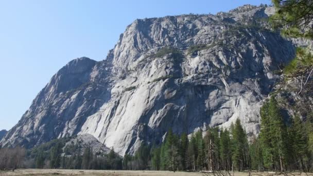 Sierra Nevada 'daki yüksek sekoya ormanının arka planındaki Yosemite vadisi dağları — Stok video