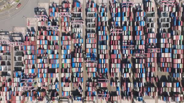 Aerial footage of big logistic hub for international trade — Vídeo de stock