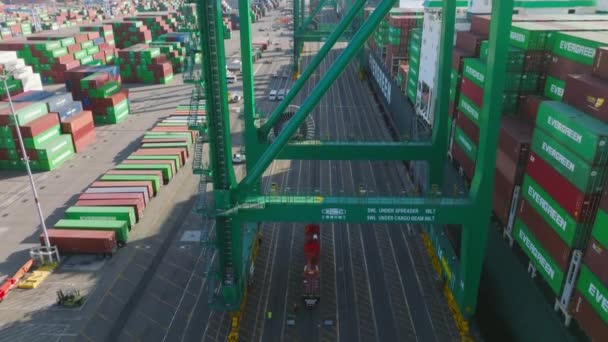 Drone footage of busy seaport with goods for export — Vídeo de stock