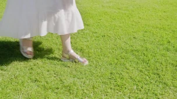 红色相机慢镜头商业流行女士野餐篮6K — 图库视频影像