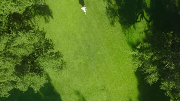 4K aerial top down commercial footage woman walking in green park, summer picnic — Wideo stockowe