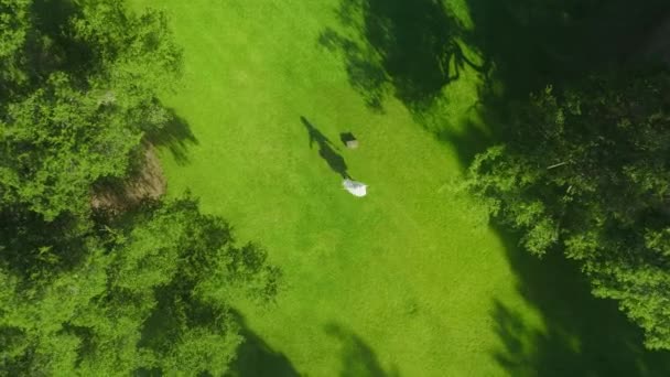 Energetic woman in white dress looking up in drone camera, taking off white hat — Vídeo de Stock