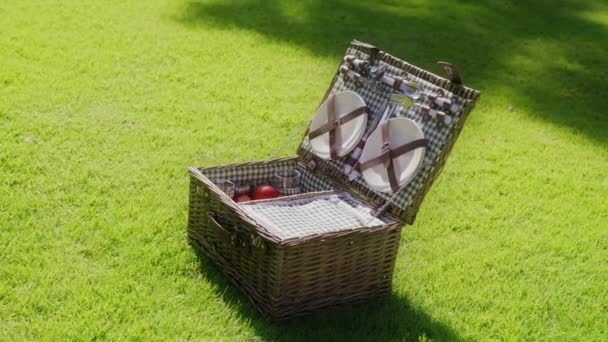 Корзина для пикника на зеленой траве, яблоки и тарелки на ярко-зеленой лужайке 6K — стоковое видео
