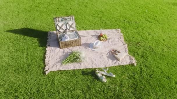 Aerial 4K picnic basket on green grass, apples and plates on bright green lawn — Wideo stockowe