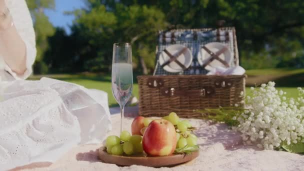 Woman with drink making toast outdoors, unrecognizable Female having fun picnic — Vídeo de Stock