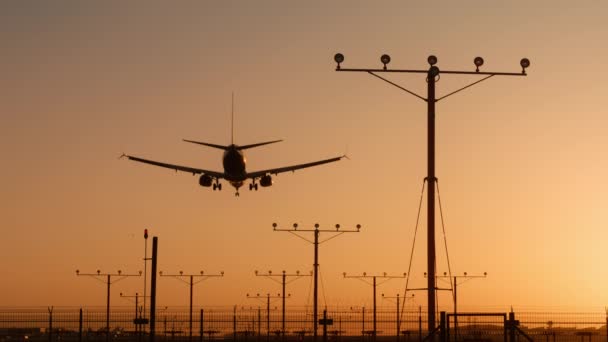 Flygplan flyger över huvudet, landar på flygplatsen vid solnedgång eller soluppgång, RÖD kamera skott — Stockvideo