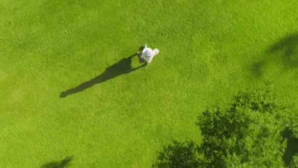 Tourist walking by green park natural landscape, 4K Aerial footage Long shadow — Video