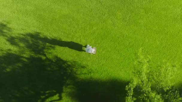 4K Aerial top-down drone footage Long female shadow from golden sunlight — Video Stock