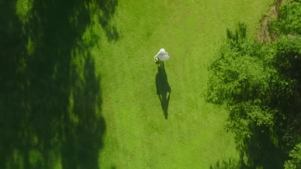 Overhead aerial of female shadow silhouette in park on grass at sunset, RED shot — Video