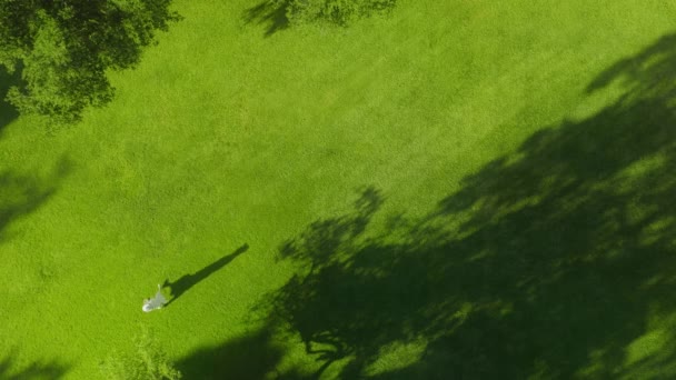 Shadow silhouette woman walking by green grass at sunset or dawn in rays of sun — Stockvideo