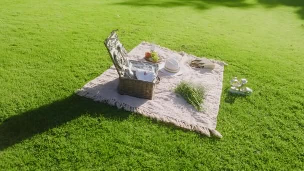 Picnic basket on green lawn, People relax on lawn in Central Park in New York 4K — Video