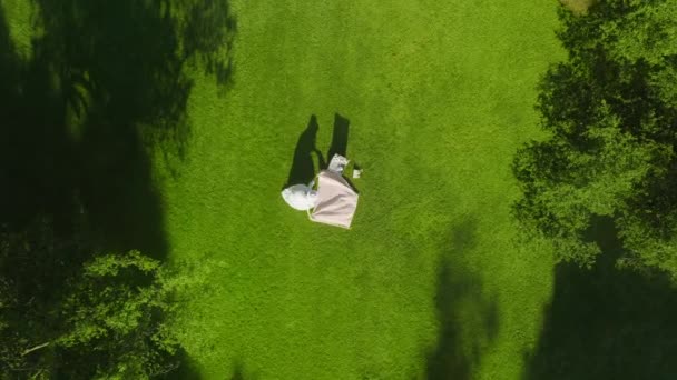 Woman sitting on blanket on green lawn in park, woman in white boho dress Aerial — Video