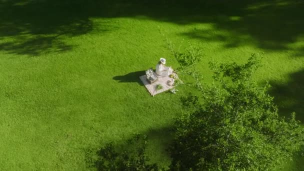Woman tourist sits on picnic blanket, reading book, aerial emerald green lawn 4K — Video