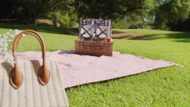 Unrecognizable Lady in white dress laying white flowers on blanket having picnic — Video