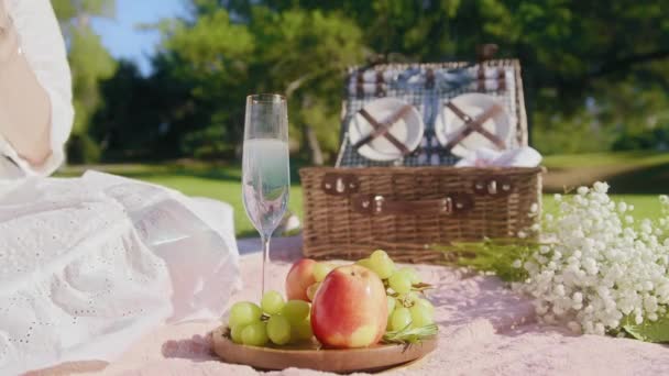 Mujer con bebida haciendo tostadas al aire libre, irreconocible Hembra divirtiéndose picnic — Vídeo de stock