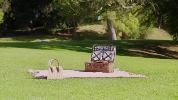 Basket with elegant straw bag on bright green lawn, picnic in summer park RED 6K — Vídeo de Stock