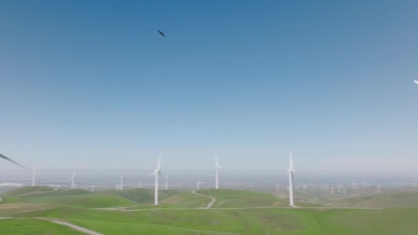 風車の上を飛ぶ黒い鳥に続くカメラ産業プラントは 回転タービンで緑の丘の上に緑のエネルギーを発生させます 再生可能エネルギー発電 空中4K映像 カリフォルニア州の自然 — ストック動画