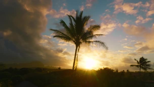 Romantisch Farbenfroher Sonnenaufgang Oder Sonnenuntergang Auf Der Insel Goldene Sonne — Stockvideo