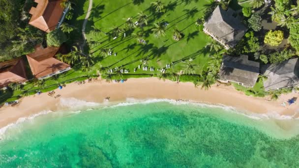 Vacanza Estiva Perfetta Sull Isola Tropicale Con Incredibili Palme Verdi — Video Stock