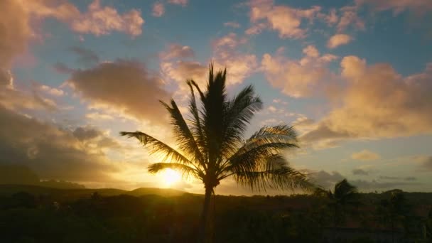 美丽的棕榈树树冠的轮廓在晨曦的天空中迎风摇曳 伴随着日出的云彩 浪漫的日出背景与复制空间 电影日落在海滩下的棕榈树下4K — 图库视频影像