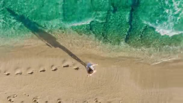 海岸に実行しているティール緑の澄んだ海の波と純粋なビーチで長い人の影 夏の日の出の背景 風光明媚なハワイの自然4K空中トップダウンビューだけで女性が空の砂浜を歩く — ストック動画
