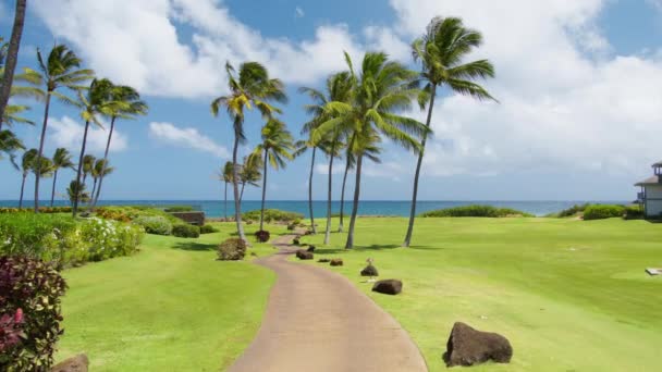 Blick Auf Die Palmen Auf Dem Perfekten Golfplatz Meer Unter — Stockvideo