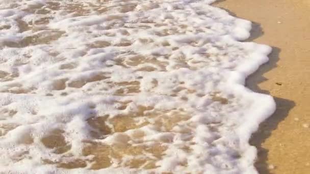 Slow Motion Vacker Tropisk Strand Gyllene Ljus Röd Bilder Fantastisk — Stockvideo