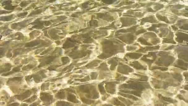 Cima Para Baixo Vista Close Pura Textura Água Mar Transparente — Vídeo de Stock