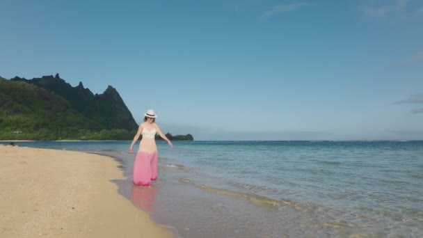 Voyage Rêve Concept Île Paradisiaque Vacances Été Sur Île Kauai — Video