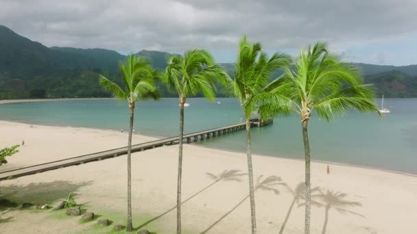 Scenic Hanalei Beach Pier Slow Motion Aerial Vibrant Green Palm — Stock Video