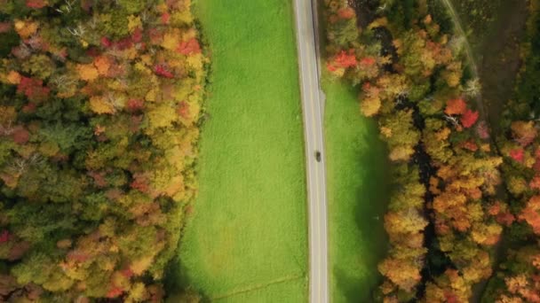 在阳光明媚的秋日 空中俯冲无人驾驶的黑色越野车在乡村道路上飞驰 四周环绕着电影般的明亮的五彩斑斓的森林 风景黄 橙秋叶 — 图库视频影像