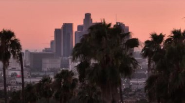 Hava paraşütü efekti B-roll drone 'u pembe gökyüzü altında gökdelen binaları olan koyu uzun palmiye ağaçlarını kuruyor, ABD destansı Los Angeles şehir manzarası pembe sinema günbatımında
