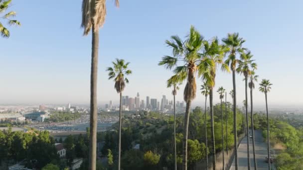 Vista Cinematográfica Cidade Los Angeles Fundo Palmeiras Verdes Destacadas Luz — Vídeo de Stock