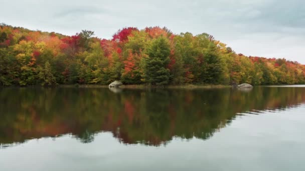 木々の上に鮮やかな黄色の赤 オレンジ 緑の葉を持つカラフルな鮮やかな秋の森 水面に雲の反射を持つ映画湖 コピースペースと美しい秋の風景の背景 — ストック動画