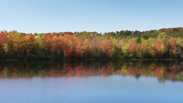 鮮やかな黄色 オレンジ 緑の木々の葉は 青い澄んだ空の4Kとまだ湖の水面に反映してカラフルな鮮やかな秋の森 晴れた暖かい日の美しい秋の風景の背景 — ストック動画
