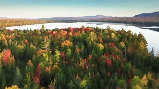 Durgun Yüzeyli Manzaralı Göl Üzerinde Destansı Bir Dron Uçuşu Metin — Stok video