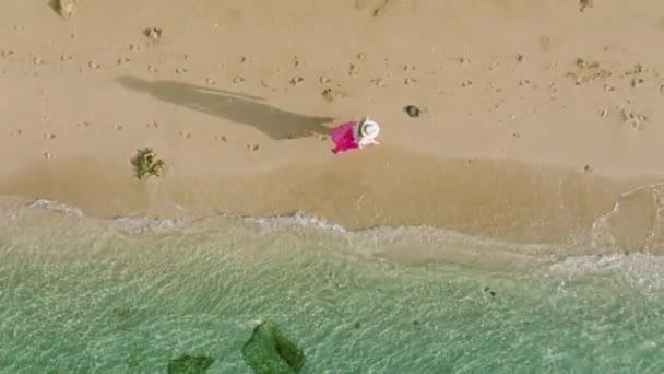 Воздушное Замедленное Движение Женщины Счастливо Прогуливаясь Тропическому Острову Солнечный Летний — стоковое видео