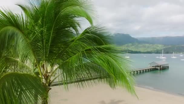 夏威夷空旷的金色沙滩 空中紧贴着华丽的绿叶 在美丽的高大棕榈树之上 随海风缓慢地移动 背景是绿山覆盖着云彩4K — 图库视频影像