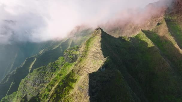 カウアイ島ハワイのナパリ公園にジュラシックパークの場所 映画の山の範囲 夏のインスピレーションの風景 日の出の雲の下で風光明媚な緑のピーク 空中壮大な自然のパノラマ 成功サミット — ストック動画