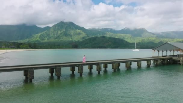 Geluk Vrijheid Droomreis Zomervakantie Hawaï Reisachtergrond Kopieerruimte Luchtfoto Vrouw Afzien — Stockvideo